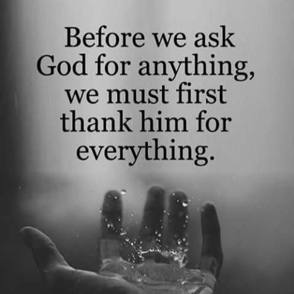 Meet your Posher, Nikki